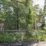 Bring Your Pups To Chatham Direct Access To The Cape Cod Rail Trail