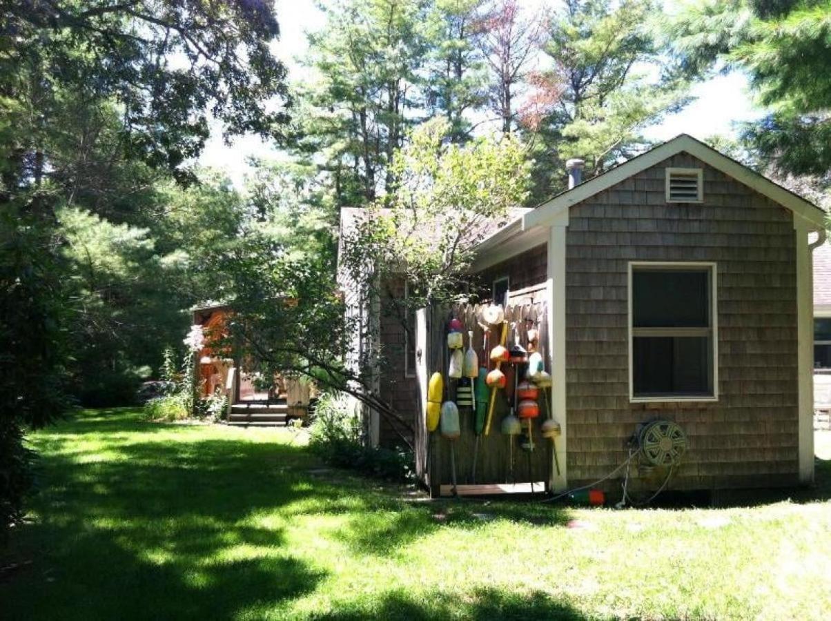 19 Old Cart Way Cape Cod - The Rosa Rugosa *