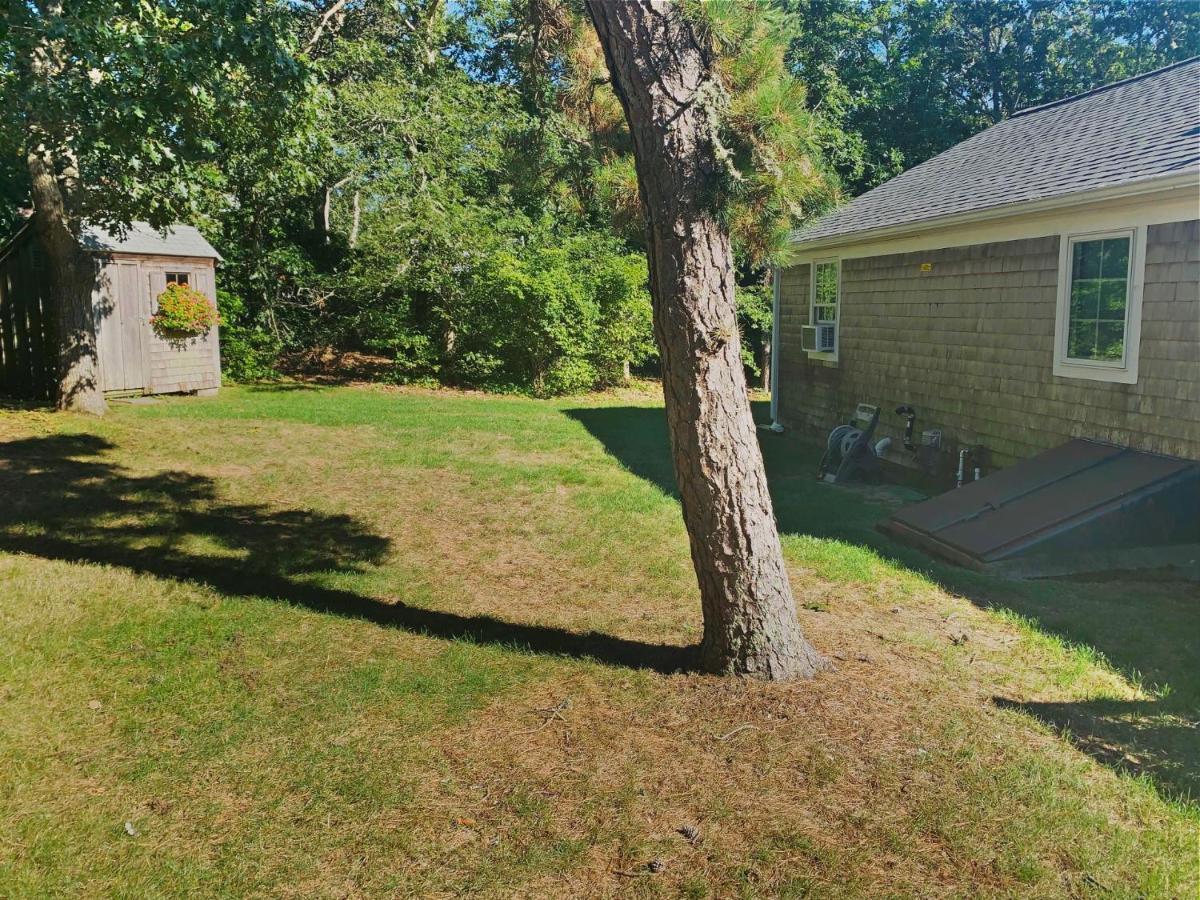 58 Longs Lane Cape Cod - Sea Glass