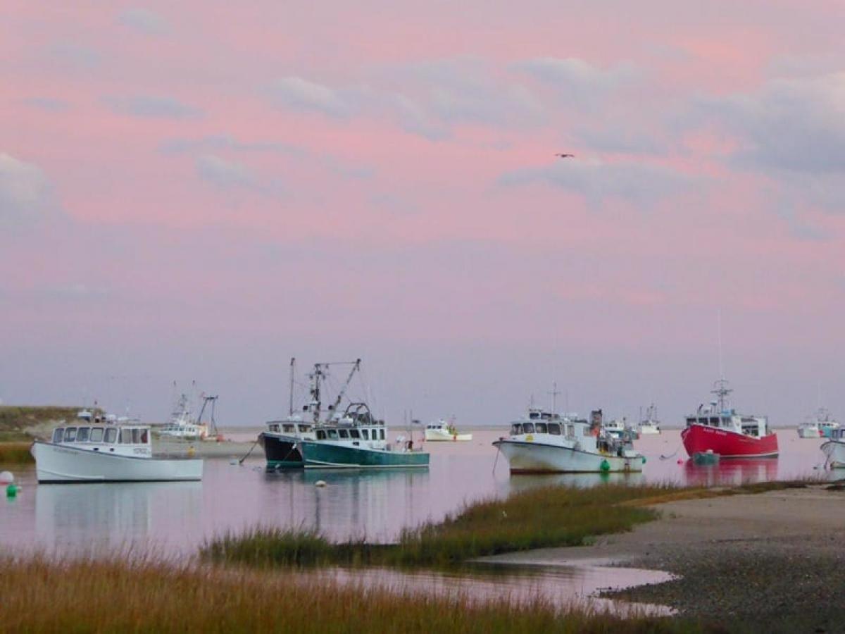 Holiday home 109 Misty Meadow Lane #1 Cape Cod - Misty Meadow *