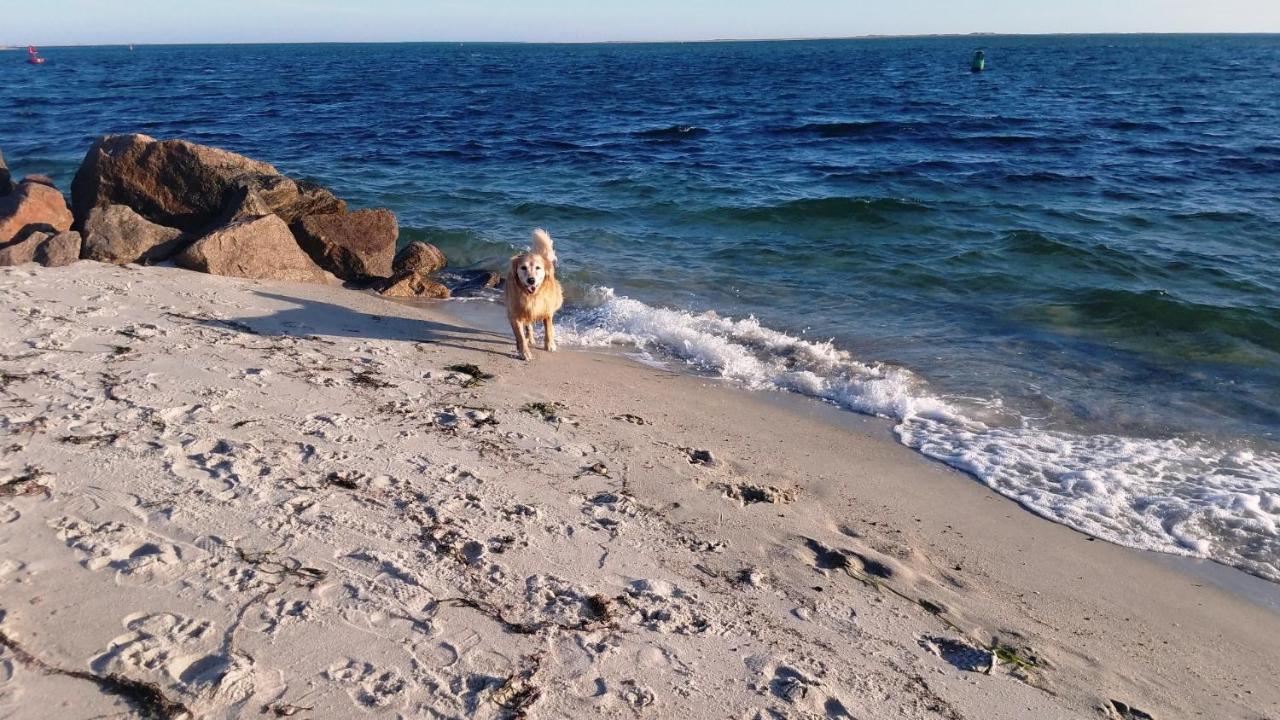 180 Hardings Road Cape Cod - The Cape Escape * Chatham
