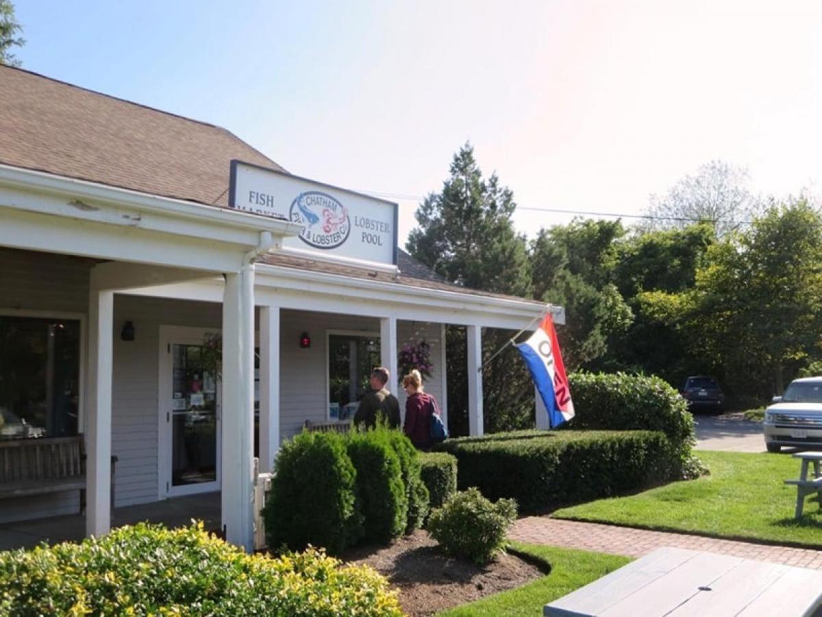 Holiday home 142 George Ryder Road South Cape Cod - - Sweet Serenity