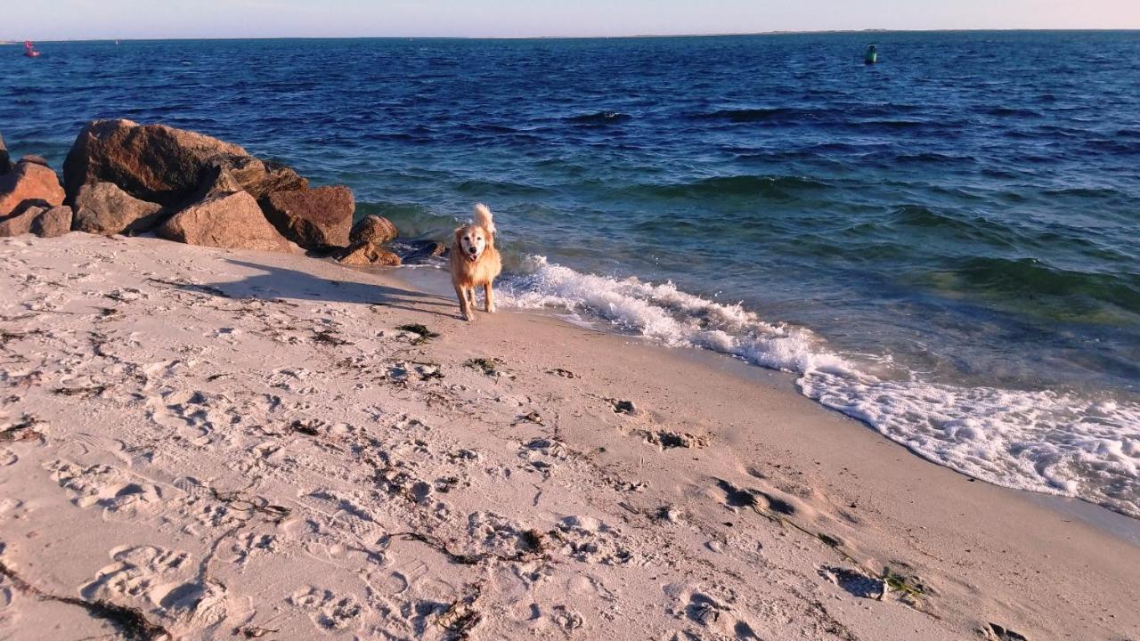 142 George Ryder Road South Cape Cod - - Sweet Serenity Holiday home *