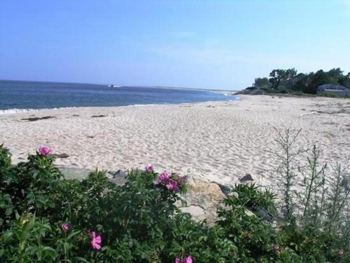 201 Main Street Cape Cod - - Sandpiper * Chatham