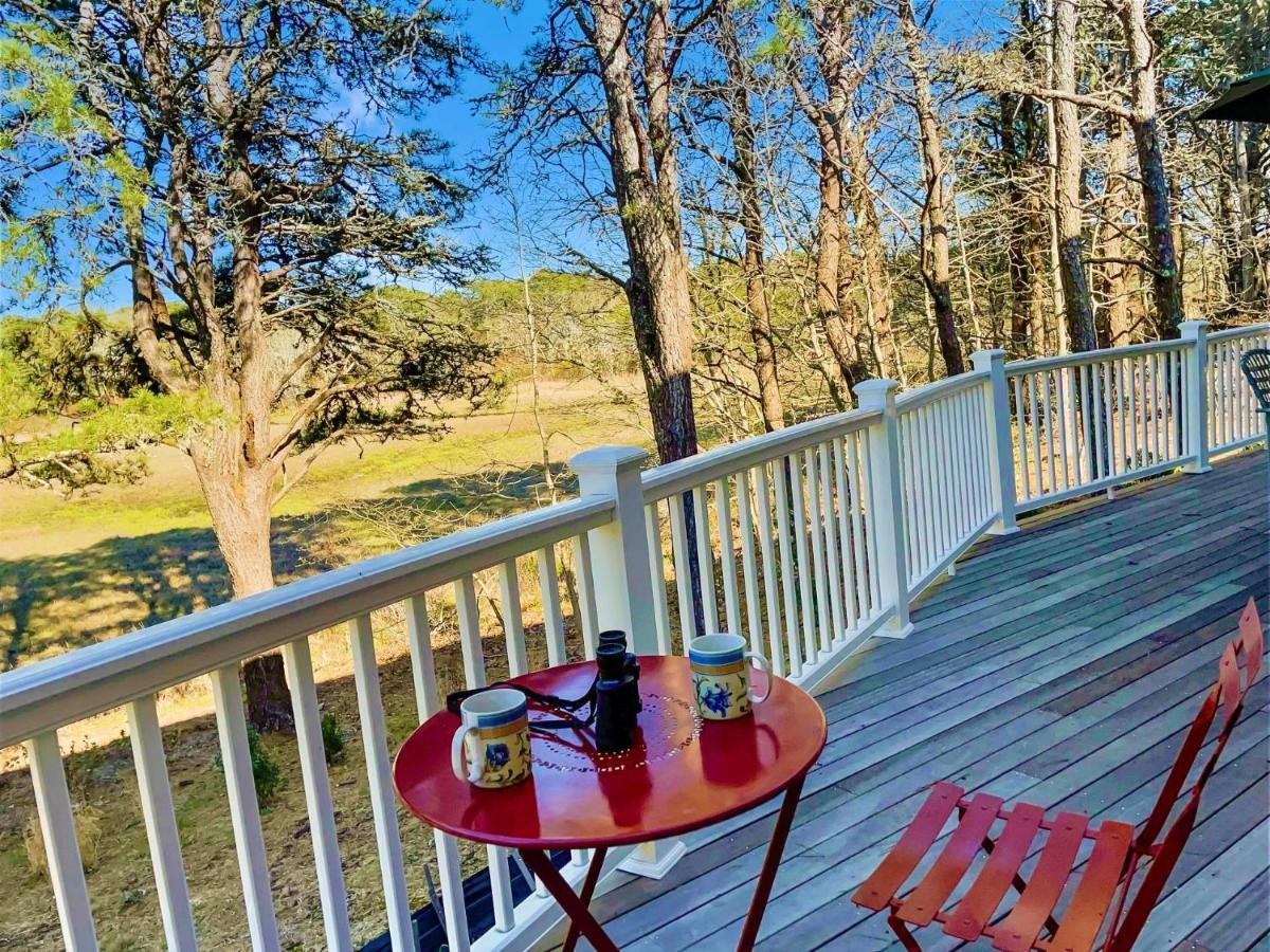 85 Cockle Drive South Cape Cod - Ides Of Marsh