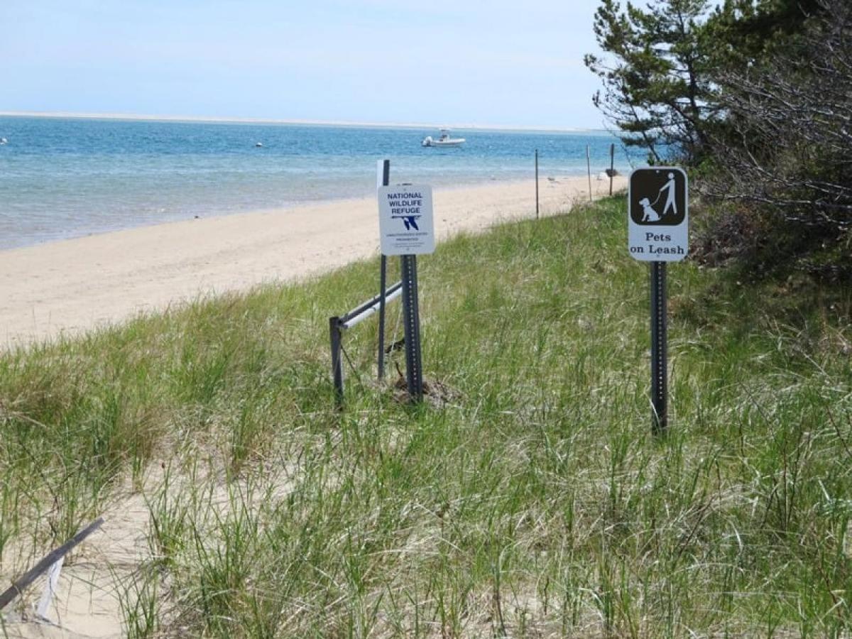 201 Main Street Cape Cod - - Sandpiper * Chatham