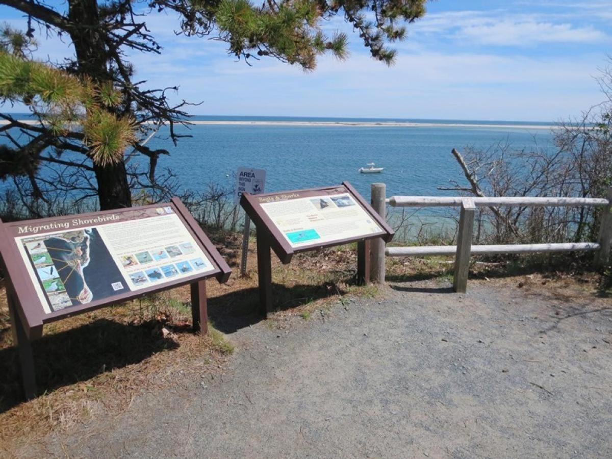 201 Main Street Cape Cod - - Sandpiper Holiday home Chatham