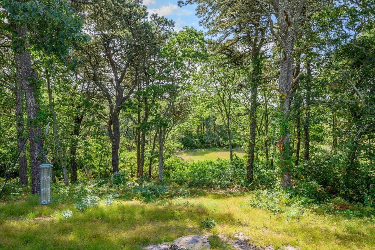 135 Pine Knoll Ave Cape Cod Sarah N Dipity Holiday home *