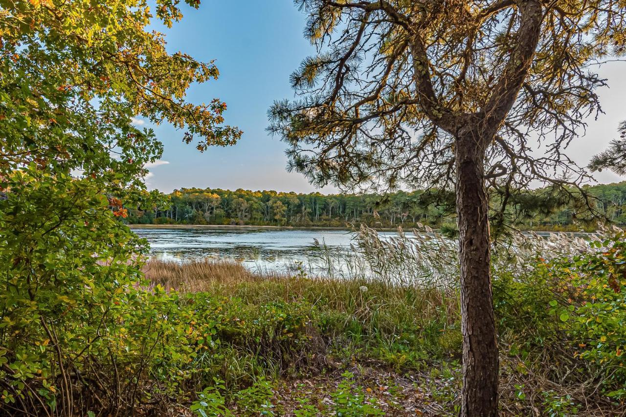 Mill Pond Vista * Chatham