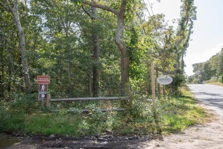 Bring Your Pups To Direct Access To The Cape Cod Rail Trail *