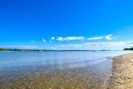 Bring Your Pups To Direct Access To The Cape Cod Rail Trail Holiday home
