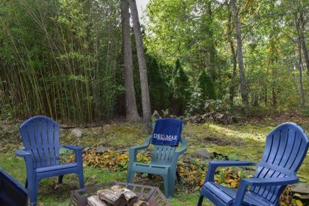 Holiday home Bring Your Pups To Direct Access To The Cape Cod Rail Trail *