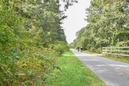 Bring Your Pups To Direct Access To The Cape Cod Rail Trail Chatham