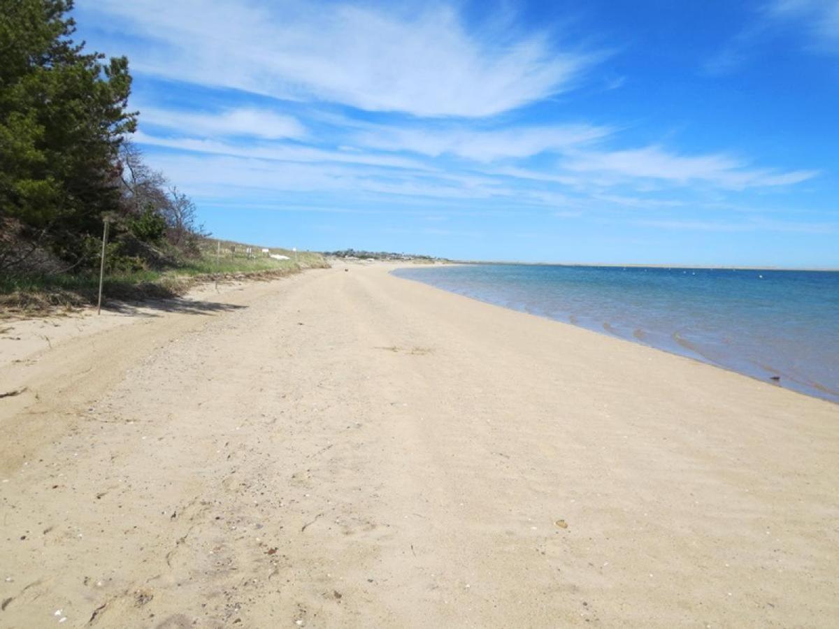 201 Main Street Cape Cod - - Sandpiper Holiday home