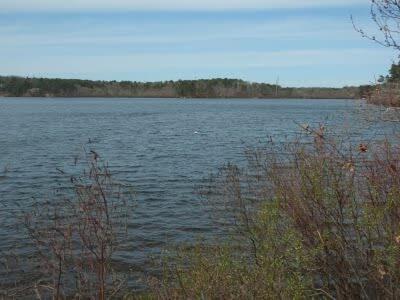 5-mins To Forest Dog Friendly Chatham