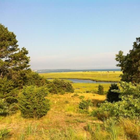 Holiday home 5-mins To Forest Dog Friendly Chatham