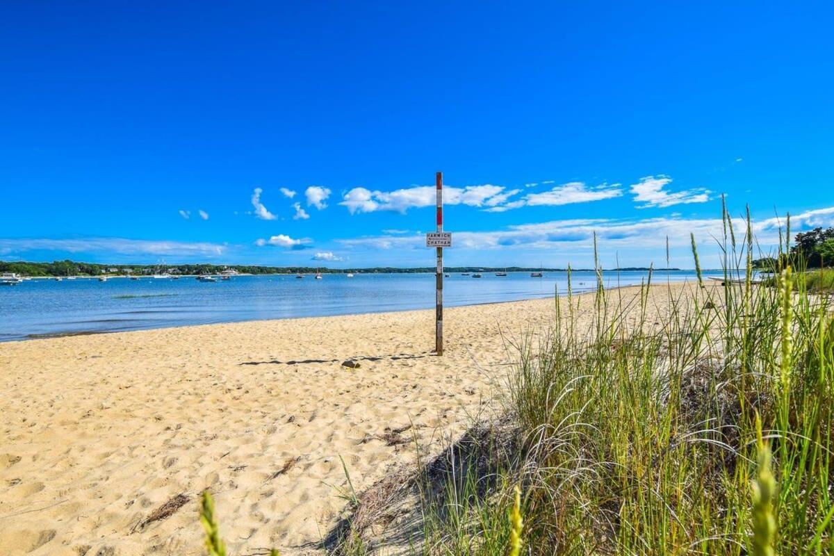 Sun Beaches And Dog Welcome *