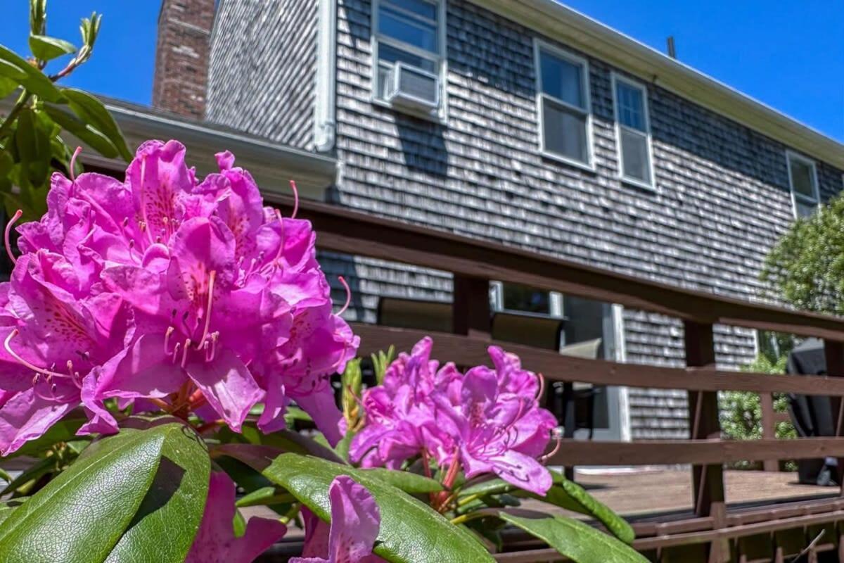 Holiday home Exclusive Neighborhood 1 2 Mi From Jackknife Beach Chatham