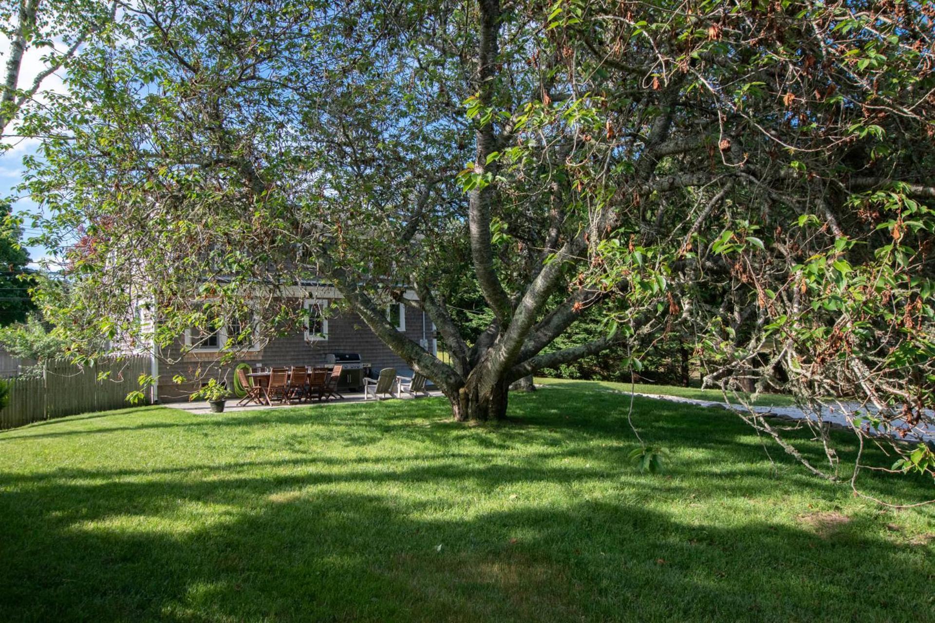 Pristine Multi-family W Barn Game * Chatham
