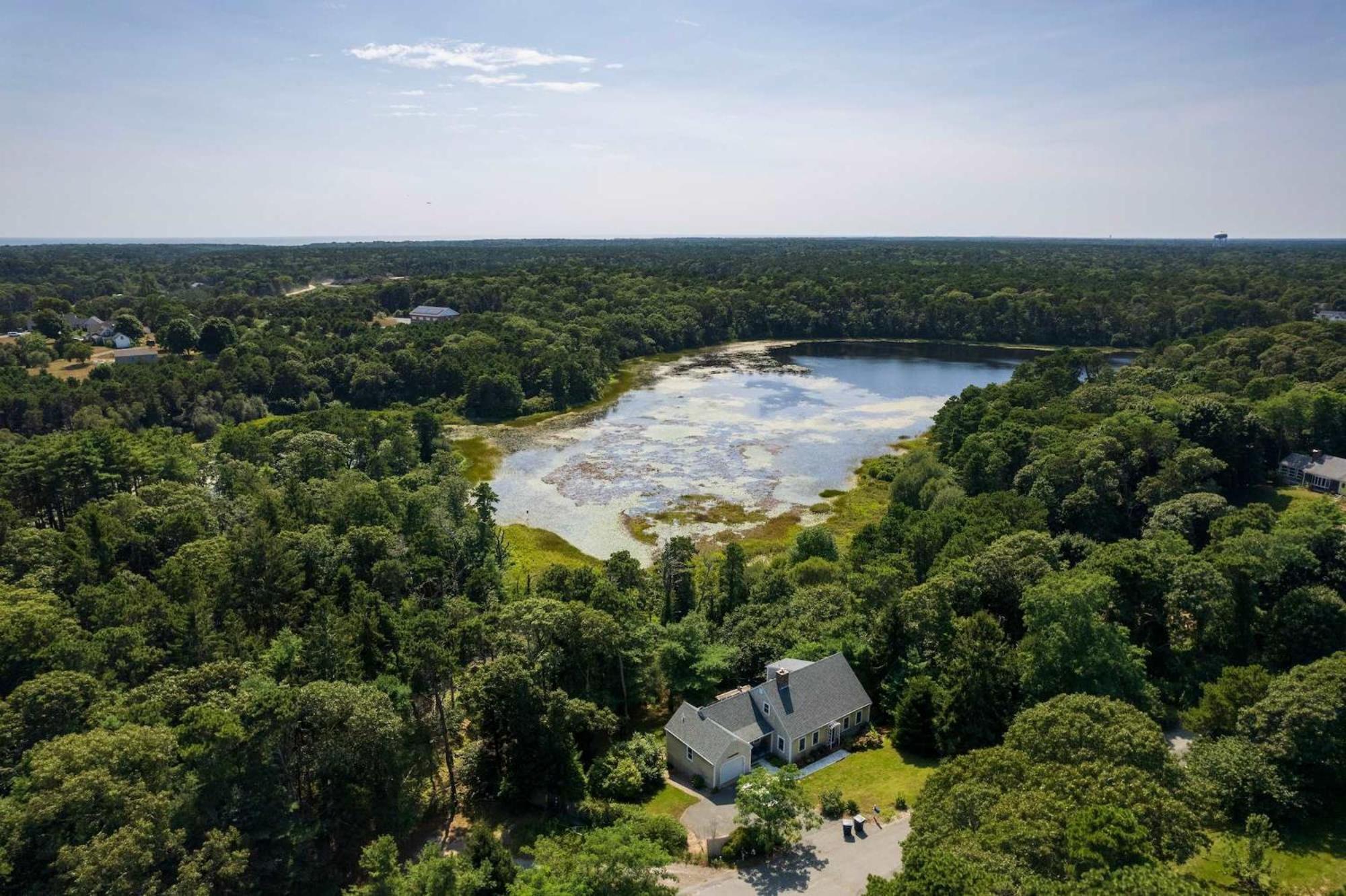 Pond Front W Game Dog Friendly * Chatham