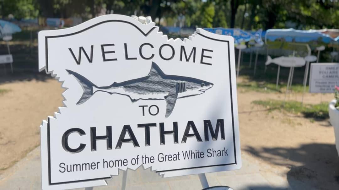 Walk To Private Patio And Backyard * Chatham