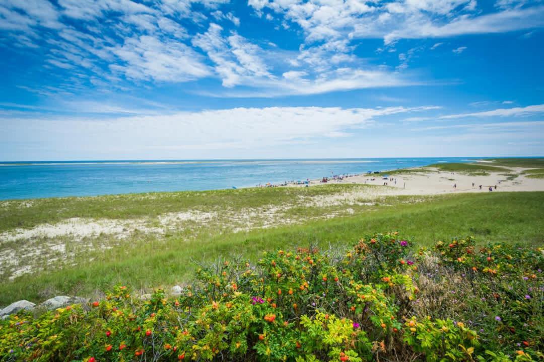 Walk To Private Patio And Backyard Holiday home *