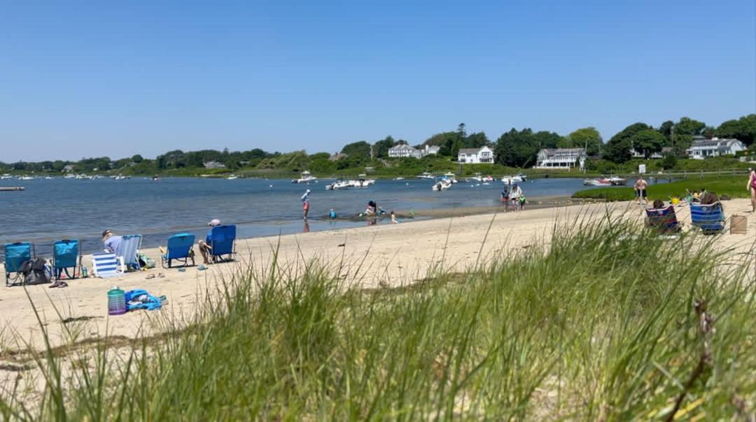 0 5 Mile Walk To Dog Friendly Chatham