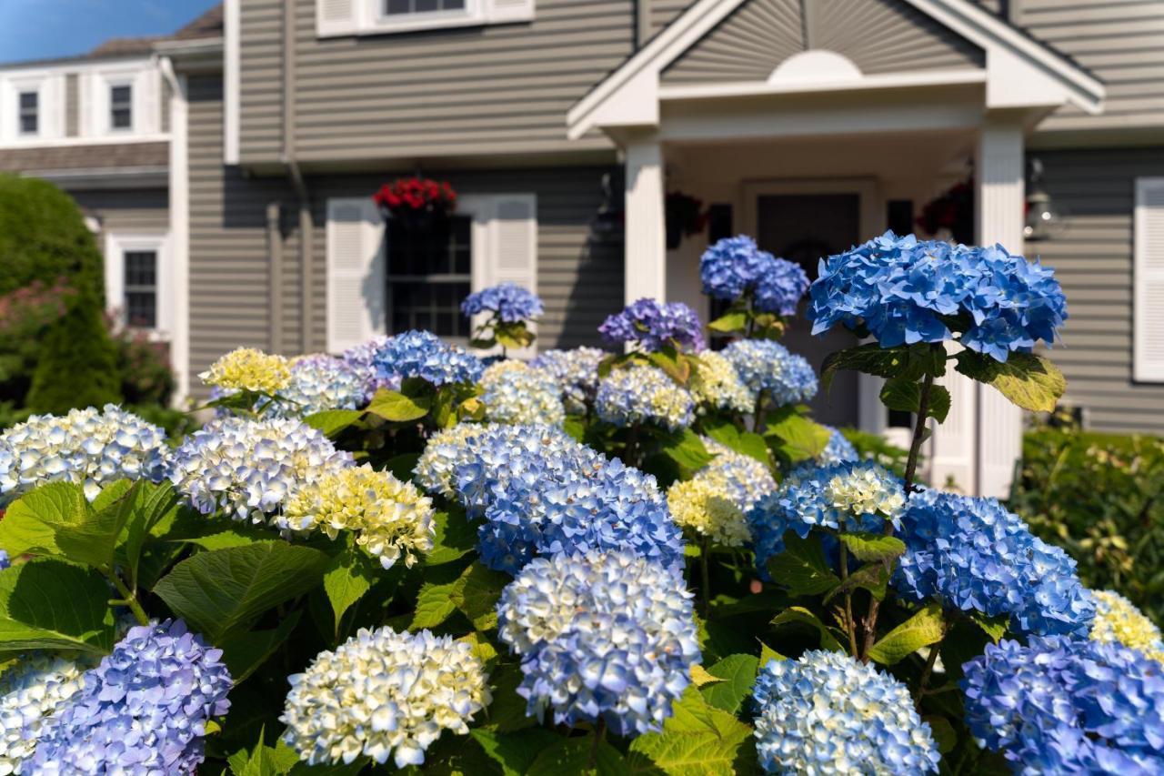 Old Harbor Bed & Breakfast Chatham