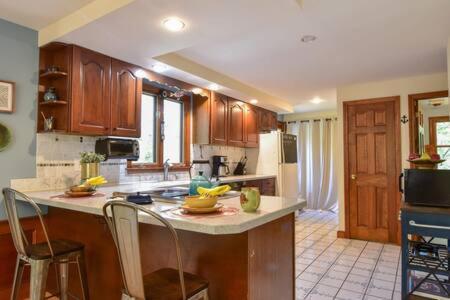 Holiday home Bring Your Pups To Direct Access To The Cape Cod Rail Trail Chatham