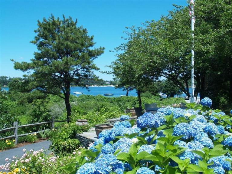 Luxury Waterfront With Game Holiday home Chatham