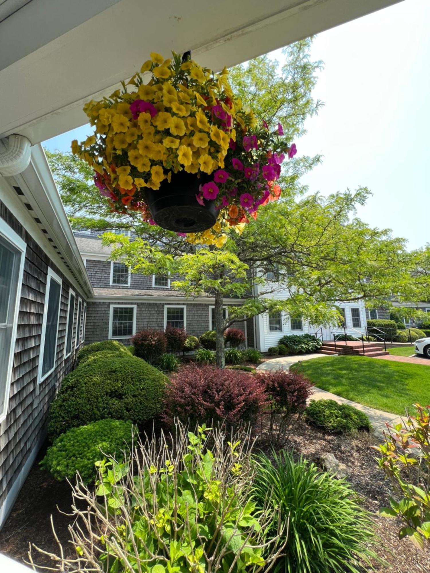 Wayside Hotel Chatham